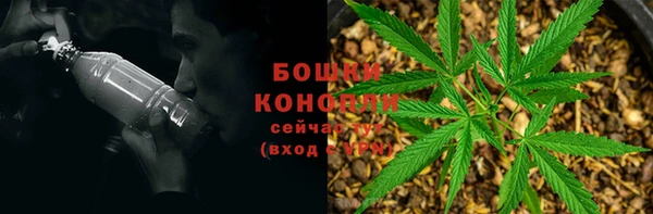 амф Ветлуга