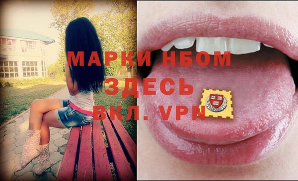 амф Беломорск